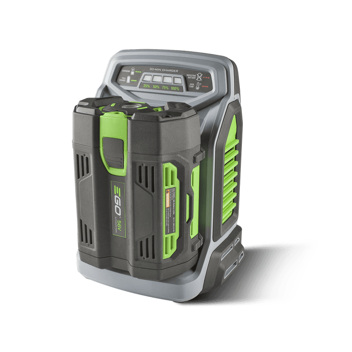 Caricabatterie RAPIDO CH 5500E