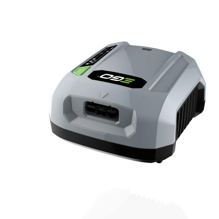 Caricabatterie PRO CHX 5500E