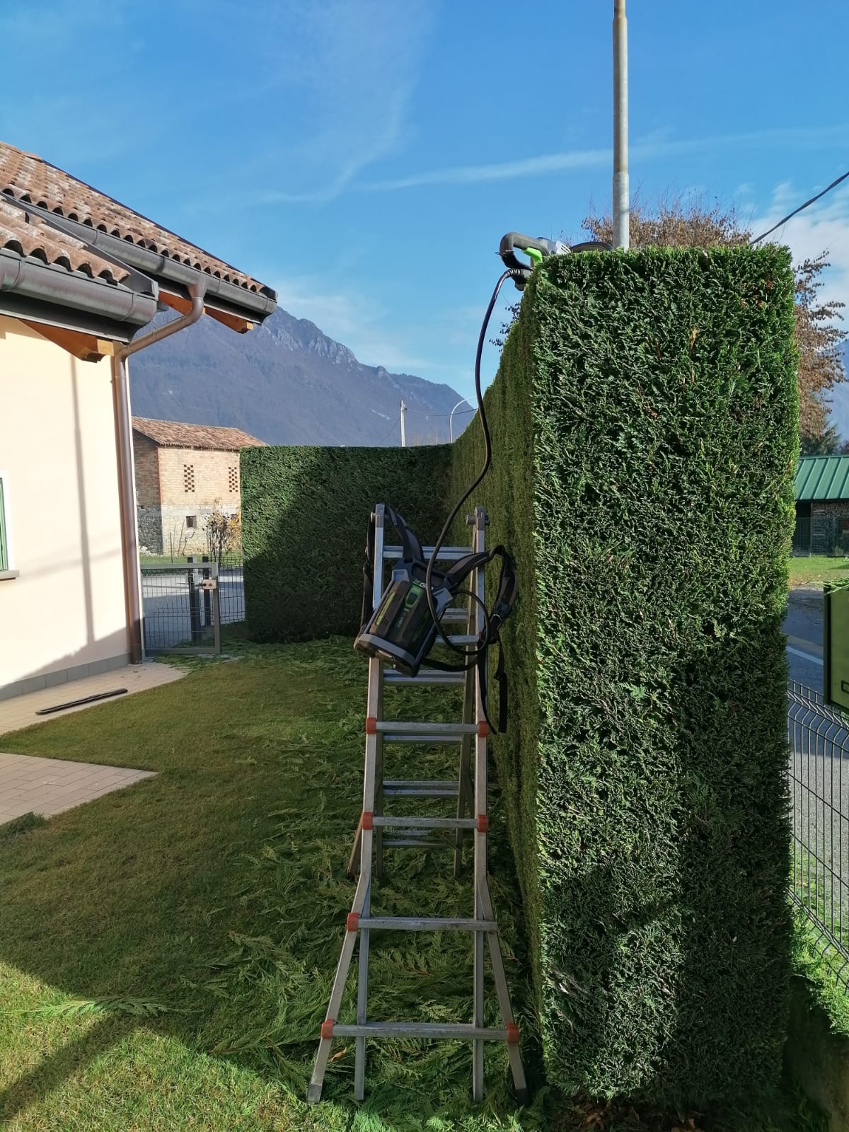 Lavoro con il tagliasiepi Ego