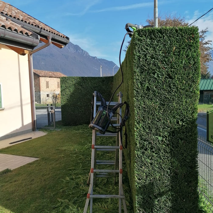 Lavoro con il tagliasiepi Ego