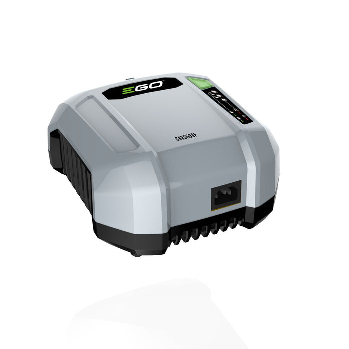 Caricabatterie PRO CHX 5500E